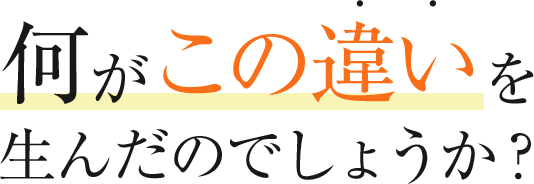 何がこの違いを生んだのでしょうか?